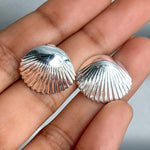 Shell Stud Earrings