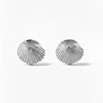 Shell Stud Earrings