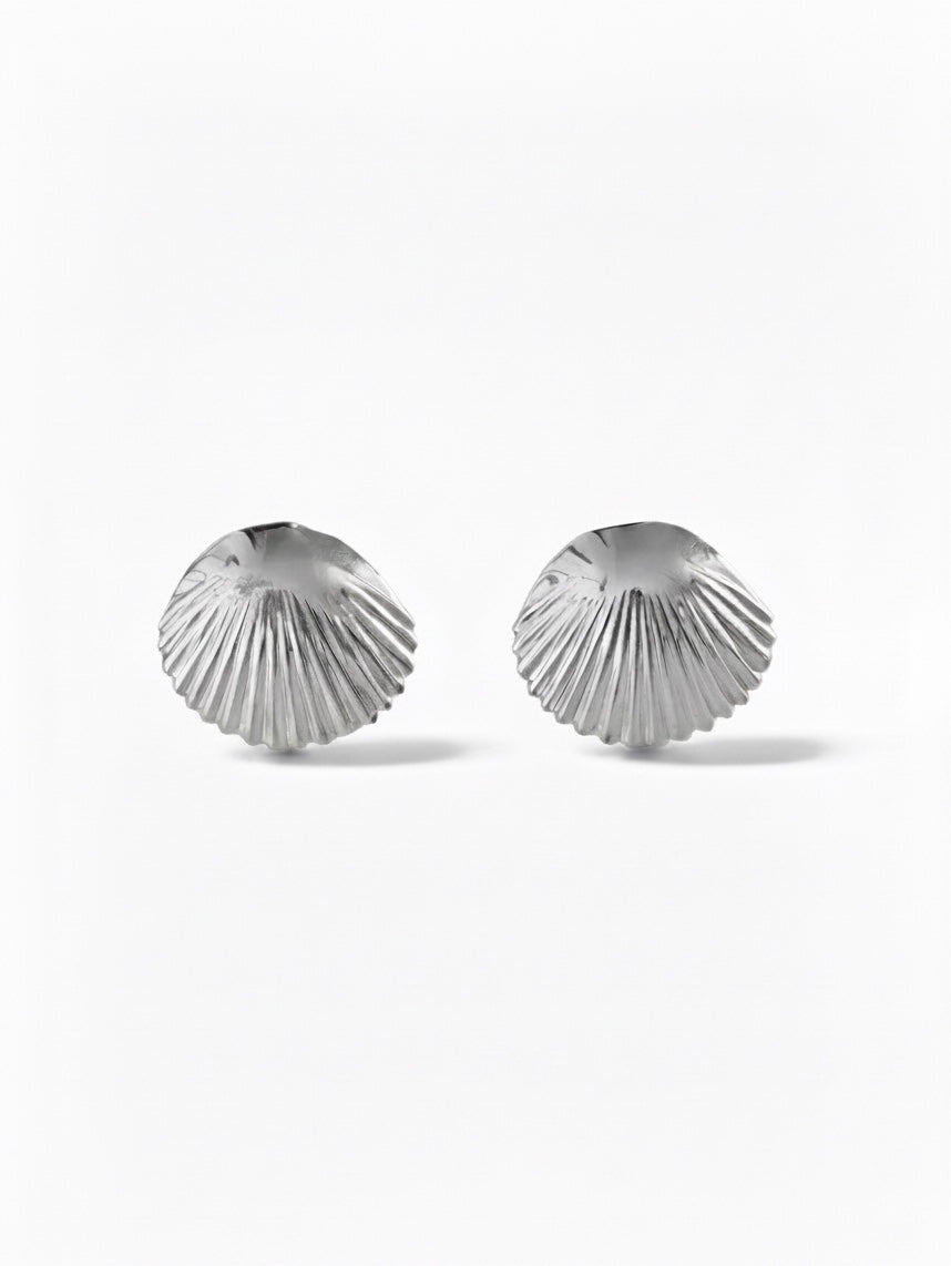 Shell Stud Earrings