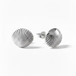 Shell Stud Earrings