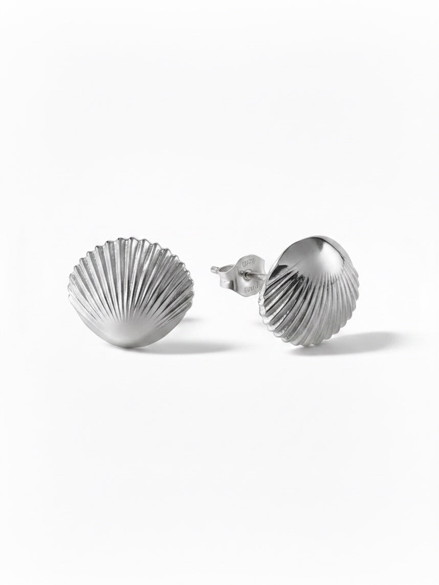Shell Stud Earrings